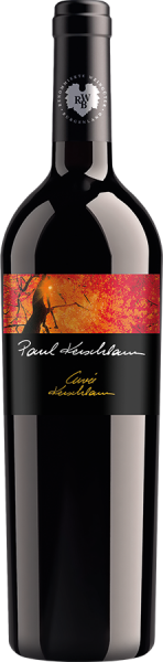 Cuvee Kerschbaum 2019 | Paul Kerschbaum